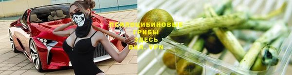 прущие крисы Алексеевка