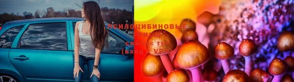 прущие крисы Алексеевка