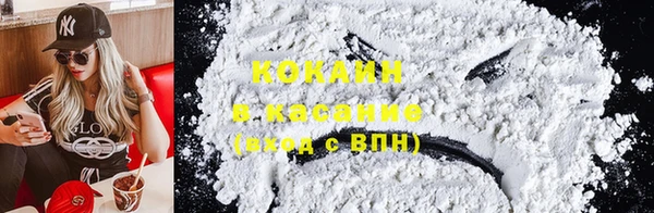 крисы Алзамай