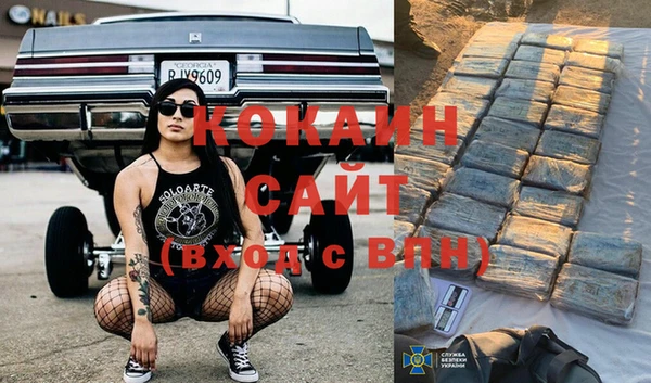 крисы Алзамай