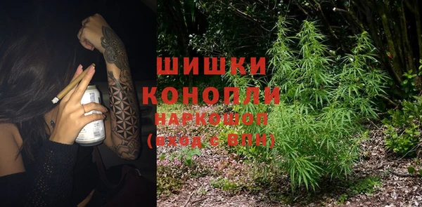 крисы Алзамай