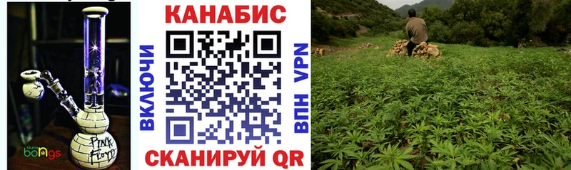 Конопля марихуана  Зверево 